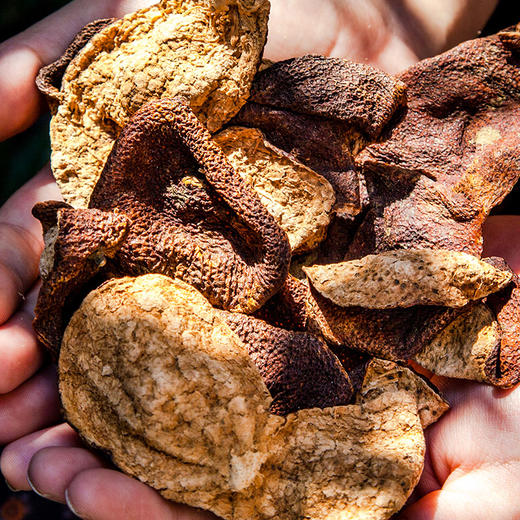 甘子田 十年年新会陈皮250克精品装 商品图1