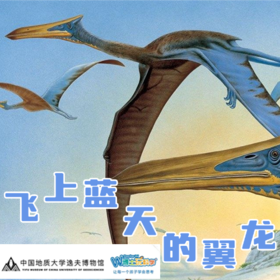 【武汉】飞上蓝天的翼龙