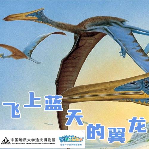 【武汉】飞上蓝天的翼龙 商品图0