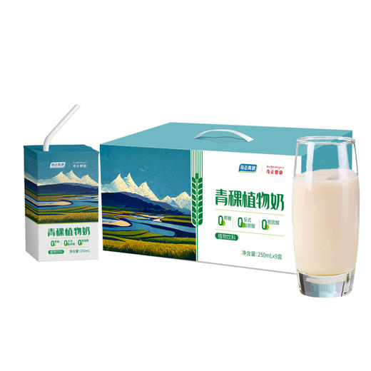【百万家庭专享】西藏 奇正健康 青稞植物奶 9盒/提 商品图4