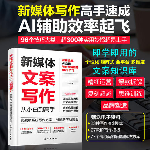 新媒体文案写作从小白到高手：盈利思维、AI应用与自我增值的96个技巧(王京  著) 商品图0