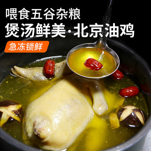 【包邮】北京油鸡  杂粮喂养  老母鸡  急冻锁鲜  母鸡煲汤鲜 1只   煲汤佳品 商品图1