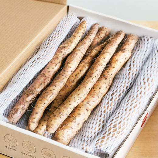 食非多品温县垆土铁棍山药 商品图3