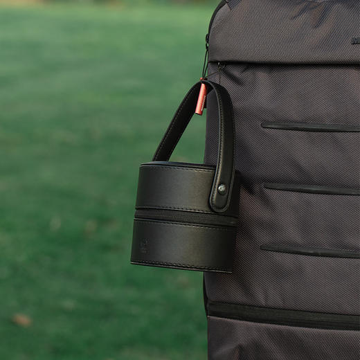 龙行天下·易泡壶 商品图7