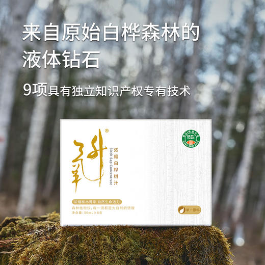 嘉桦浓缩白桦树汁天然桦树原液植物饮料50ml*8瓶／盒*2盒 商品图1
