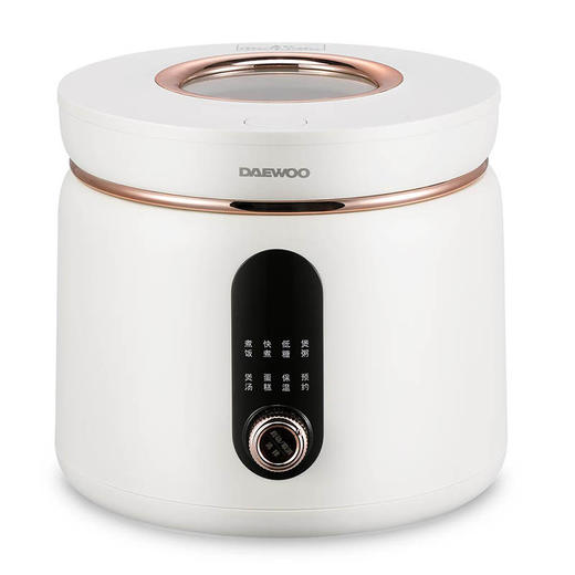 大宇 智能电饭煲DYFB-D240 商品图1