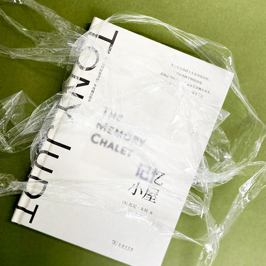 记忆小屋 (托尼·朱特作品系列) 商品图3