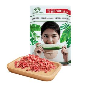 微玉冰糖玉种子【通过国家审定白色超甜水果玉米 】