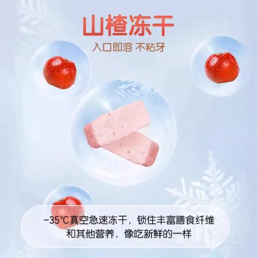 伊威山楂棒手指冻干水果果棒山楂16g 商品图2