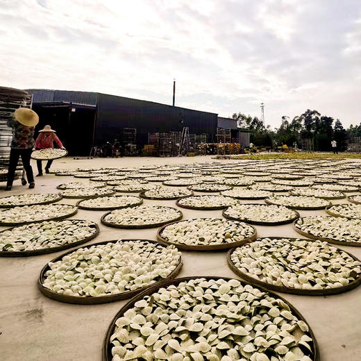 甘子田 十年年新会陈皮250克精品装 商品图5