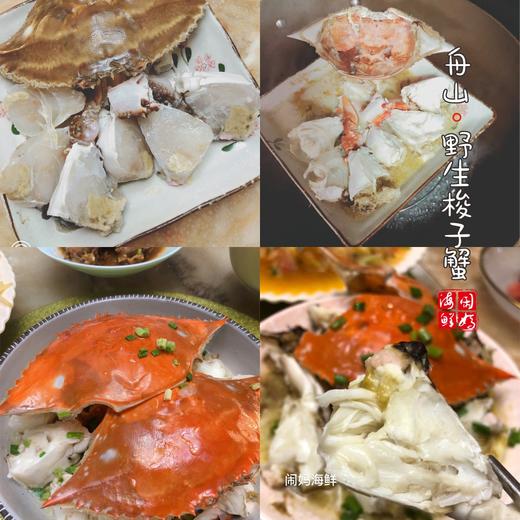 【闹妈】舟山液氮冷冻梭子蟹公蟹白蟹 各种规格 商品图4