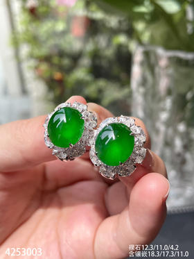 老坑玻璃种帝王绿蛋面耳钉【4253003】具体价格微信咨询