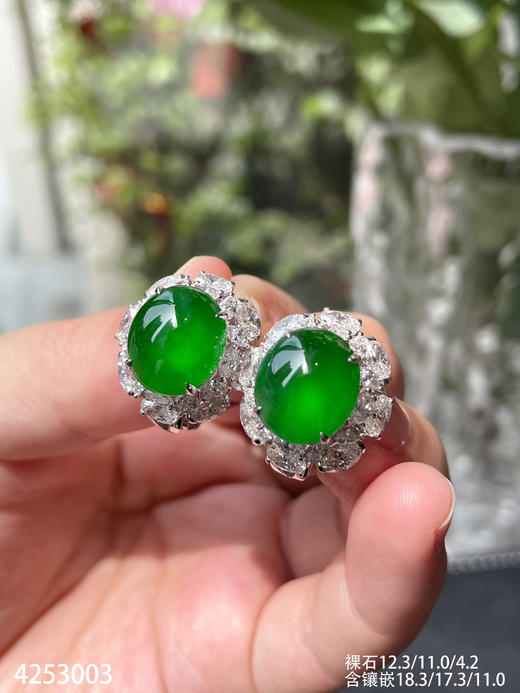 老坑玻璃种帝王绿蛋面耳钉【4253003】具体价格微信咨询 商品图0