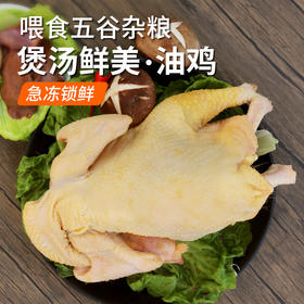 北京油鸡  杂粮喂养  老母鸡  急冻锁鲜  母鸡煲汤鲜 1只   煲汤佳品