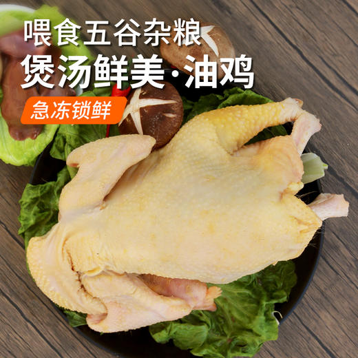 【包邮】北京油鸡  杂粮喂养  老母鸡  急冻锁鲜  母鸡煲汤鲜 1只   煲汤佳品 商品图0
