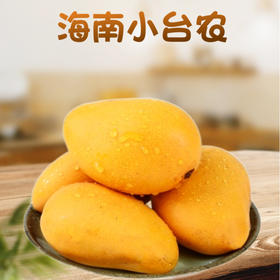 直发海南小台芒（全国包邮）【海南报业推荐】