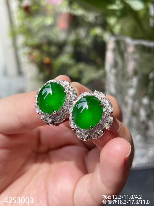 老坑玻璃种帝王绿蛋面耳钉【4253003】具体价格微信咨询 商品图1