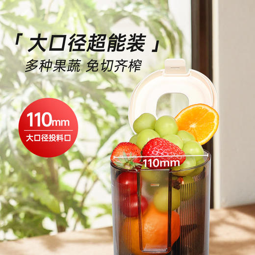 BRUNO原汁机家用渣汁分离全自动榨汁机小型慢磨大口径榨果汁机 商品图4