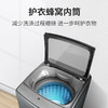威力15kg公斤大容量波轮洗衣机商用大户型家庭 商品缩略图3