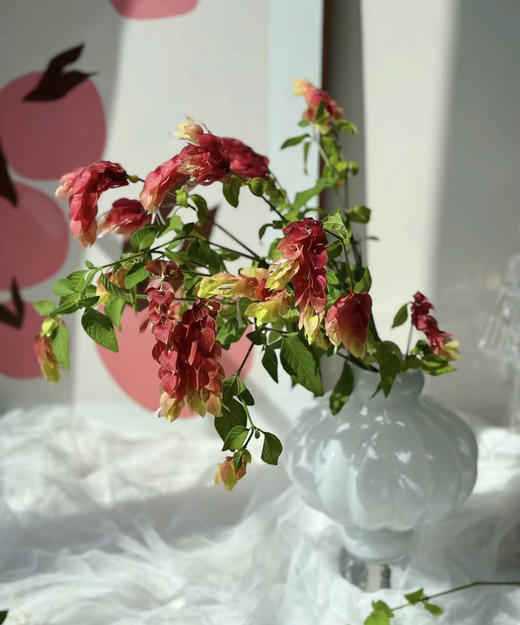 【爱的苦恼】虾衣花 若干枝/扎 商品图2