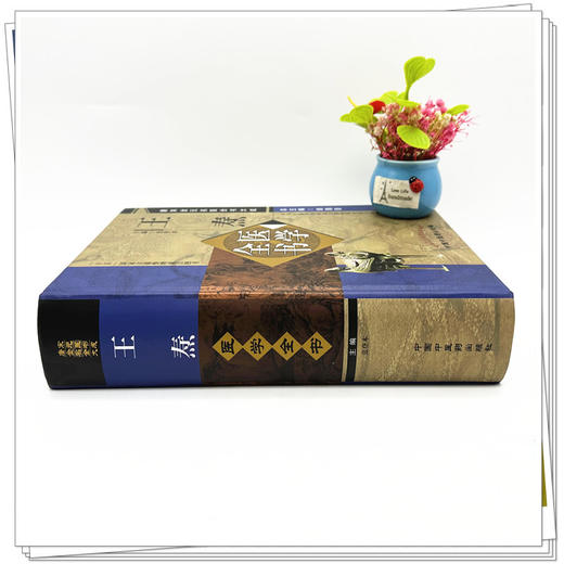 王焘医学全书（第二2版）（唐宋金元名医全书大成）张登本 中国中医药出版社 外台秘要方 中医畅销书籍 商品图3