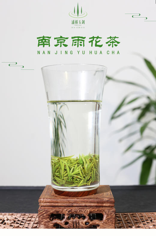 南京雨花茶200g永乐系列礼盒装 商品图4