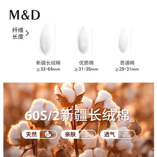 【名盾】DP短袖衬衫MXBB10601A 商品图3