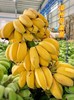 90%超市买不到！香蕉界的萌宠 【原生态苹果蕉】口感独特 原生态自然熟 爆红网络的“小黄人”苹果香蕉 商品缩略图0