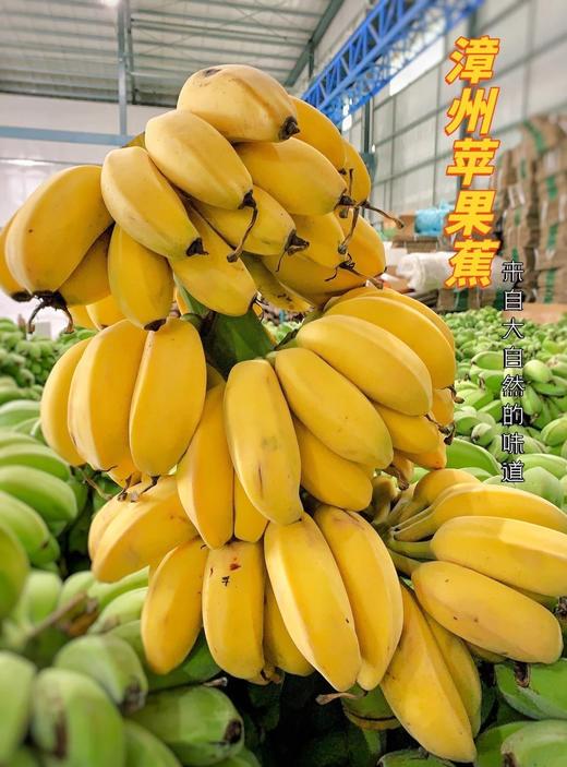 90%超市买不到！香蕉界的萌宠 【原生态苹果蕉】口感独特 原生态自然熟 爆红网络的“小黄人”苹果香蕉 商品图0