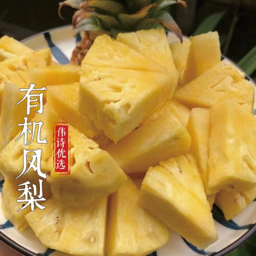 伟诗优选 | 有机凤梨 商品图1