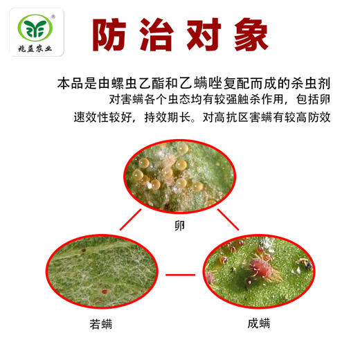 冠龙优腾，有效成分含量45%有效杀灭红蜘蛛 商品图1