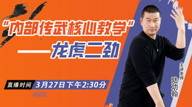 3月27日传武核心教学--龙虎二劲