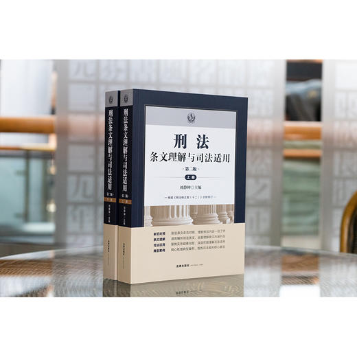 刑法条文理解与司法适用（第二版 上下册） 刘静坤主编 法律出版社 商品图0
