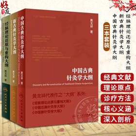 【全套3册】经脉理论还原与重构大纲+新古典针灸学大纲+中国古典针灸学大纲 黄龙祥 人民卫生出版社 实验针灸表面解剖学针灸学书籍