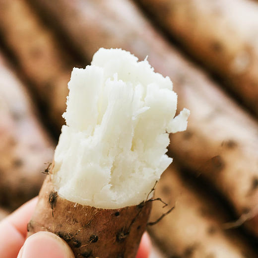 食非多品温县垆土铁棍山药 商品图2