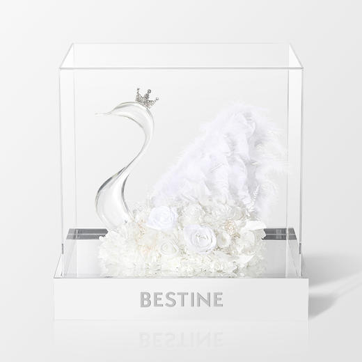 VBEINGS花语 天鹅湖之恋 mini/大号 永生花玫瑰花摆件礼盒送女友生日礼物情人节礼物 商品图5