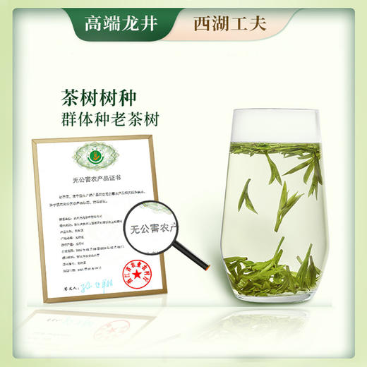 【2025明前特级春茶！】西湖工夫 明前特级龙井茶 插画摊晾手工包 传统手工炒制春茶 250g/袋 商品图2