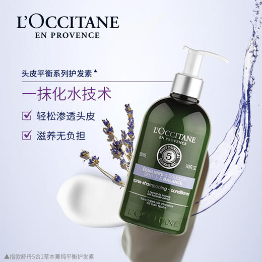 3253581595244  欧舒丹L’OCCITANE 草本菁纯平衡护发素500ml（瓶盖破损） 商品图1