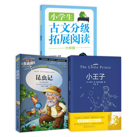 小王子 商品图0