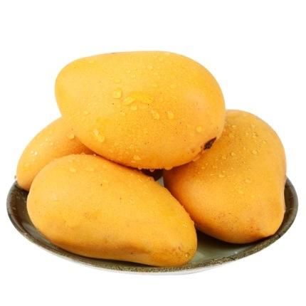 直发海南小台芒（全国包邮）【海南报业推荐】 商品图3