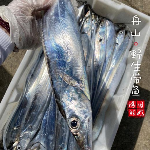 【闹妈海鲜】[热气]舟山海钓带鱼各种规格 按条卖 商品图2