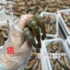【闹妈海鲜】[冻发]舟山野生青壳滑皮虾 400克/盒 大号25-30头左右/盒 商品缩略图1