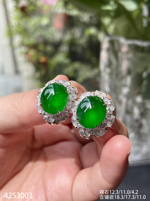 老坑玻璃种帝王绿蛋面耳钉【4253003】具体价格微信咨询 商品图3