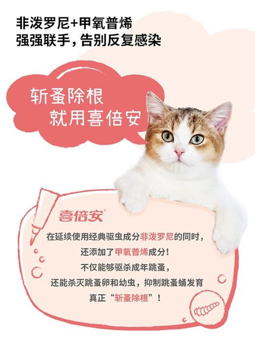 喜倍安 猫咪外用驱虫滴剂 跳蚤成虫幼虫卵蜱虫有效 海乐妙同厂福来恩同成分 0.5ml三支/盒 商品图3
