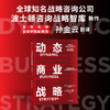 动态商业战略 商品缩略图3
