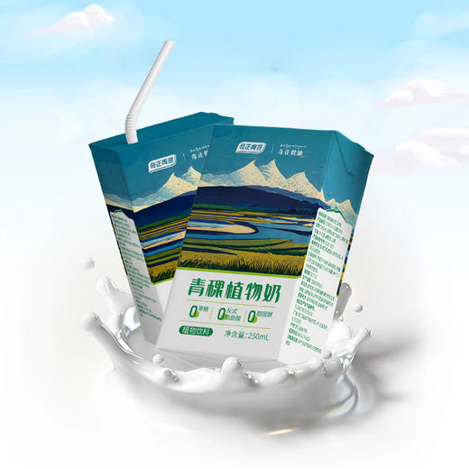 【百万家庭专享】西藏 奇正健康 青稞植物奶 9盒/提 商品图2