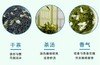 【好茶上新】东裕茗茶 浓香型 茉莉绿茶三角袋 250克 商品缩略图2