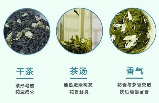 【好茶上新】东裕茗茶 浓香型 茉莉绿茶三角袋 250克 商品图2