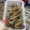 【闹妈海鲜】[冻发]舟山野生青壳滑皮虾 400克/盒 大号25-30头左右/盒 商品缩略图2