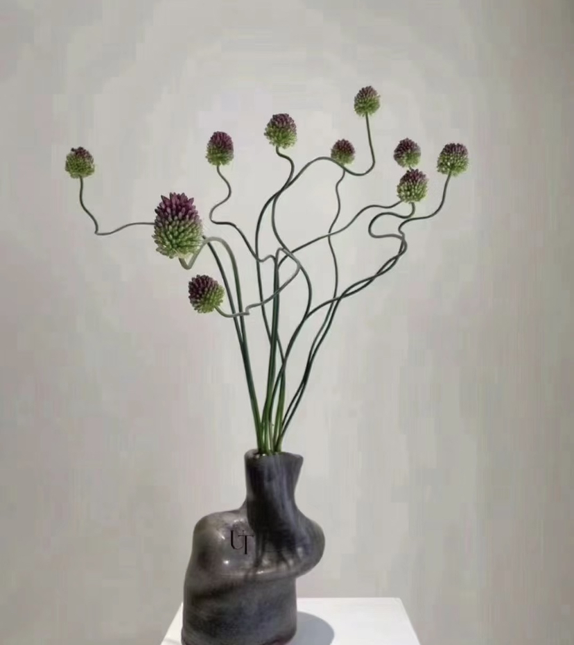 【肆意生长】弯葱  5枝/扎 （国产版）